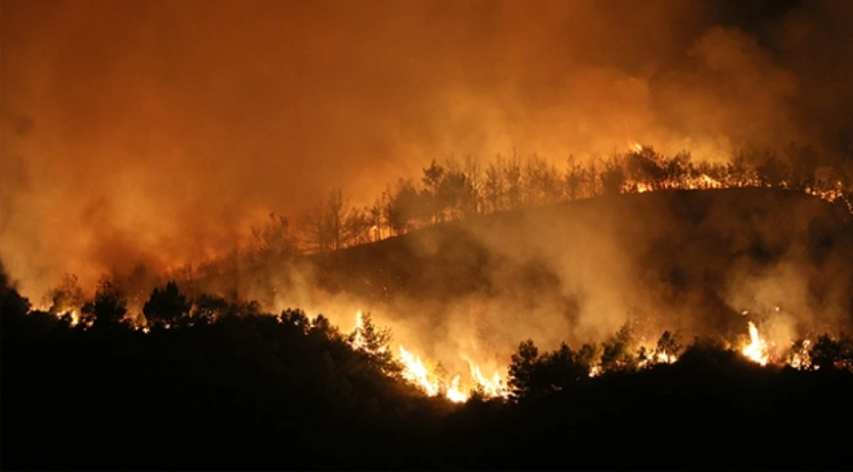 HATAY’DA ORMAN YANGINI