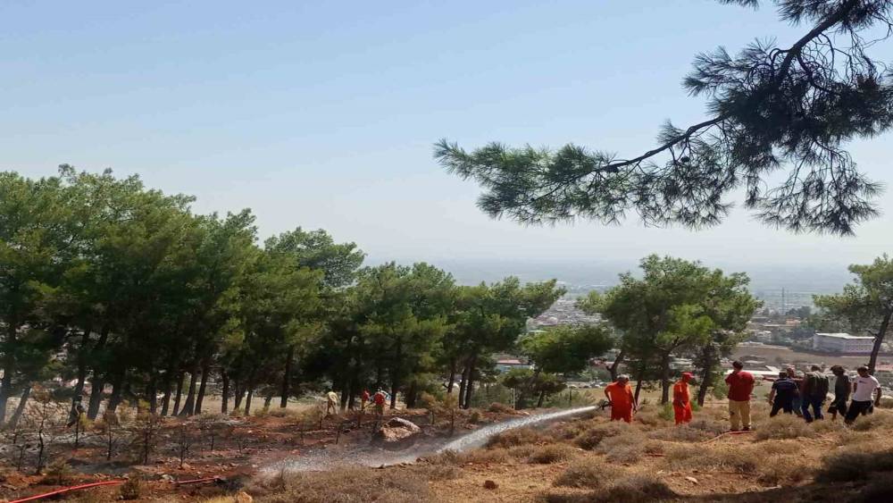 Hatay’da ormanlık alanda örtü yangını