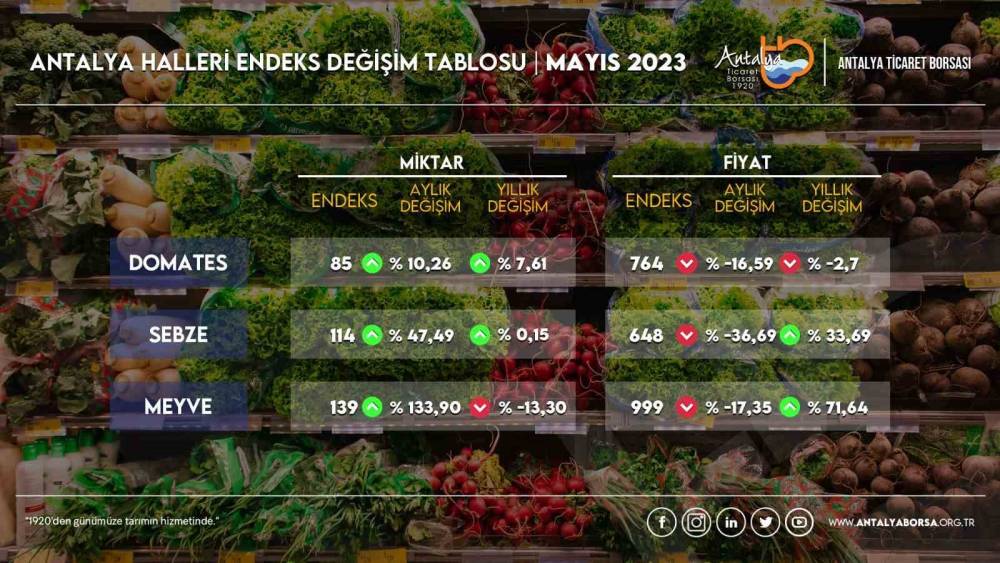 ANTALYA’DA SEBZE FİYATLARINDA YÜZDE 36,69 DÜŞÜŞ