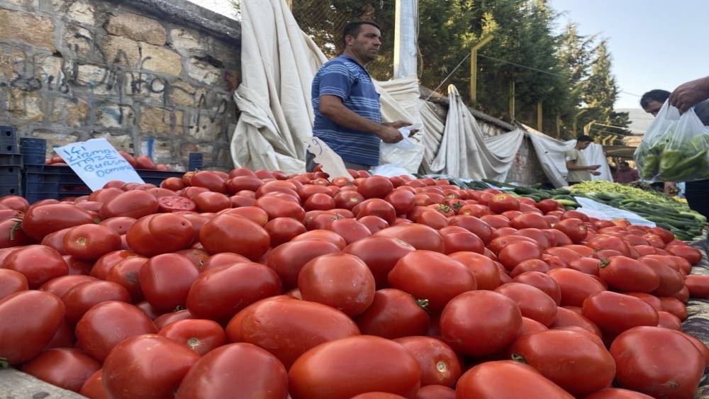 SALÇALIK DOMATES VE BİBERLER TEZGAHLARDA
