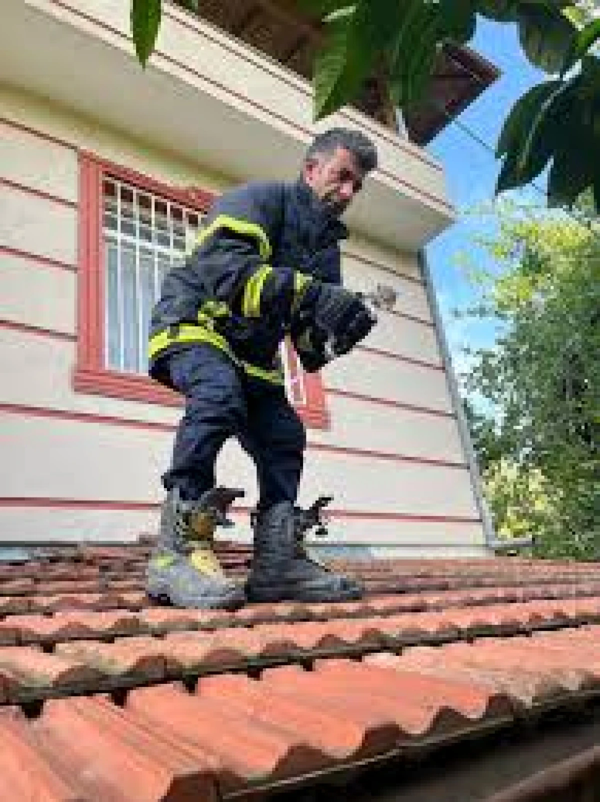 HATAY'DA ÇATI, REKLAM PANOSU, BAHÇE ÇİTİ VE ARAÇ MOTORUNDA MAHSUR KALAN KEDİLER İLE DEMİR KORKULUĞA SIKIŞAN KÖPEK İTFAİYE EKİPLERİ TARAFINDAN KURTARILDI.