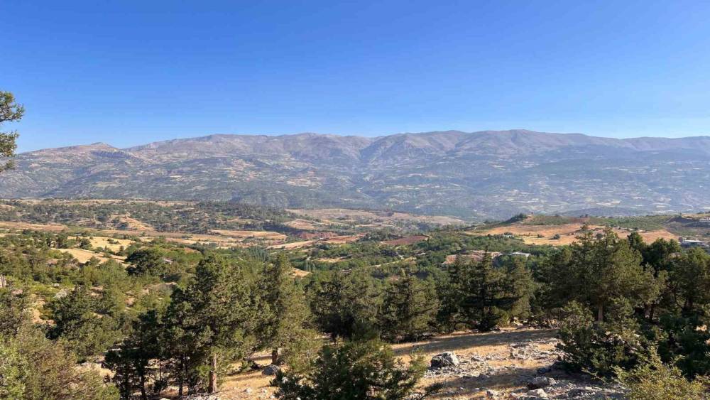 KAHRAMANMARAŞ’TAKİ ORMAN YANGINI SÖNDÜRÜLDÜ