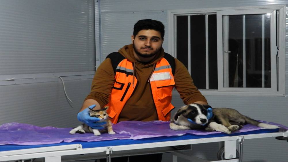 DEPREM MAĞDURU HAYVANLARI GÖNÜLLÜ OLARAK TEDAVİ EDİYOR