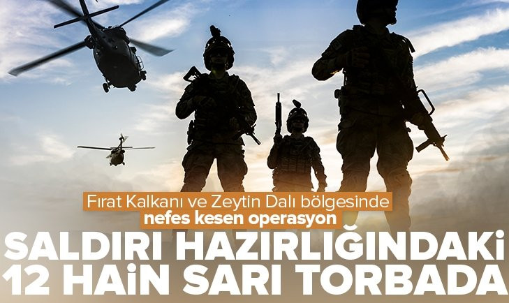 FIRAT KALKANI VE ZEYTİN DALI BÖLGELERİNDE SALDIRI HAZIRLIĞI YAPAN 12 TERÖRİST ÖLDÜRÜLDÜ