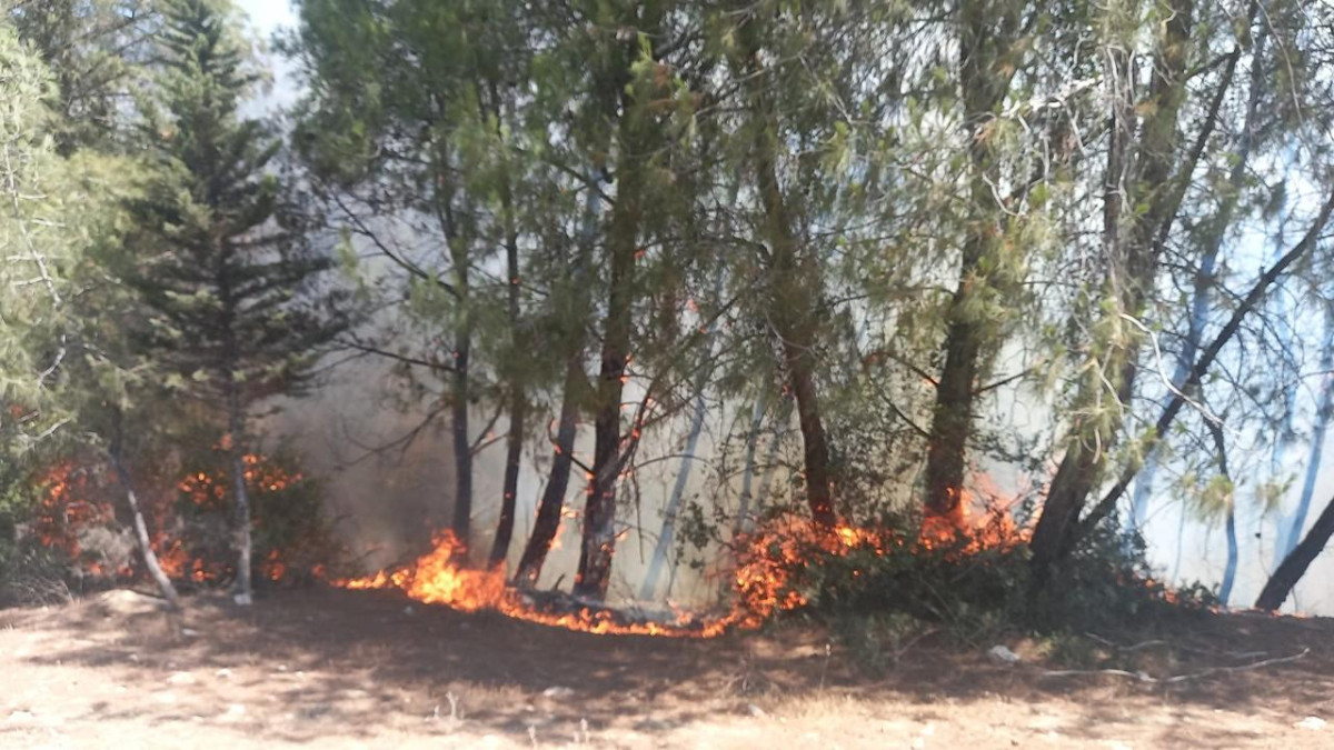 ADANA'DA ORMAN YANGINI ÇIKTI