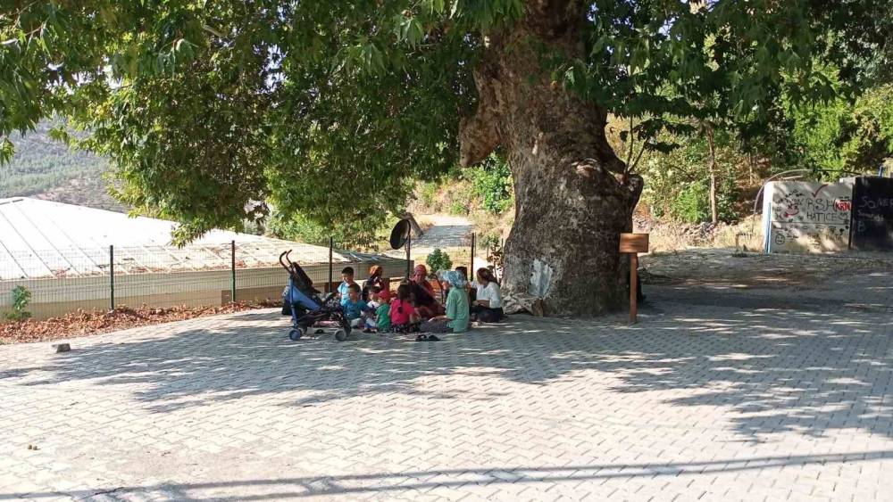 ABİDE AĞAÇ İLGİ GÖRÜYOR