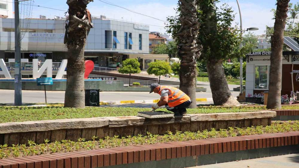 ANTALYA BU YAZ ÇİÇEK BAHÇESİNE DÖNECEK
