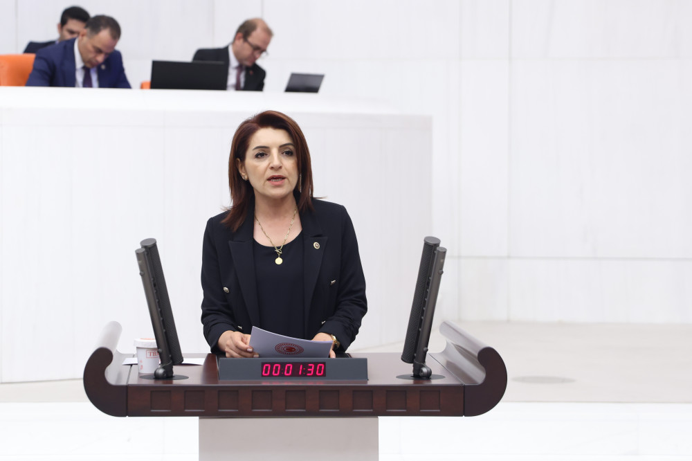 CHP MERSİN MİLLETVEKİLİ GÜLCAN KIŞ, ÇİLE YOLUNU MECLİS GÜNDEMİNE TAŞIDI
