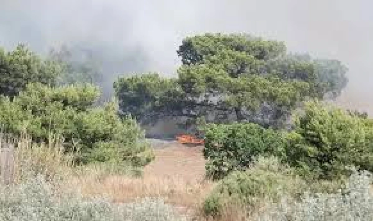 ANTALYA'DA ORMAN YANGINI