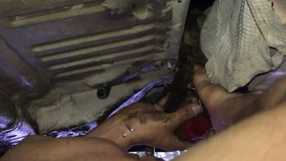 OTOMOBİLE GİREN YAVRU KEDİYİ TURİZM ÇALIŞANLARI KURTARDI
