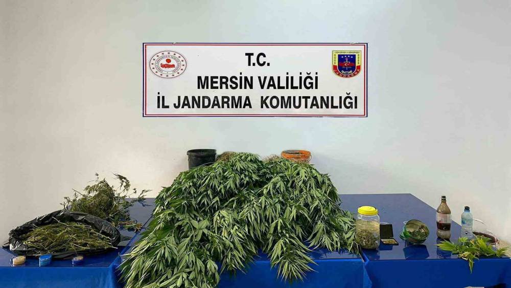 Mersin’de 5 kilo 620 gram esrar ile 578 kök Hint keneviri ele geçirildi
