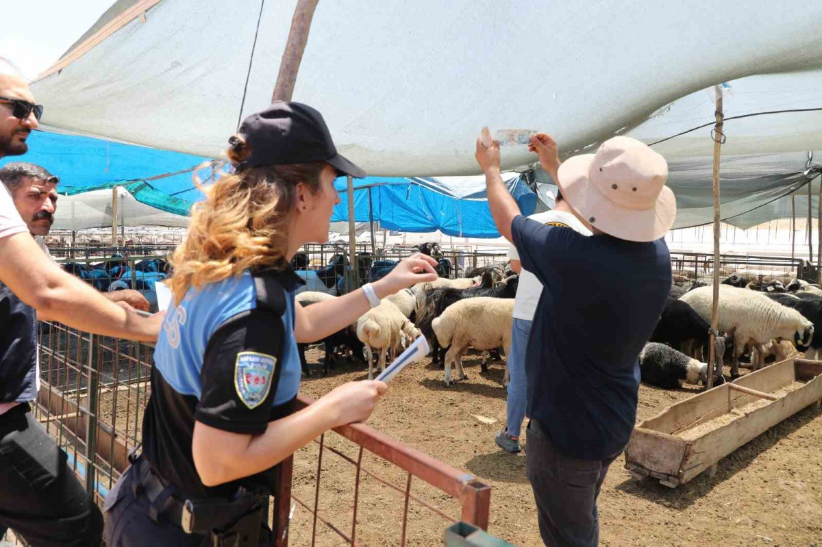 MERSİN POLİSİ KURBANLIK SATIŞ ALANLARINDA VATANDAŞLARI UYARDI