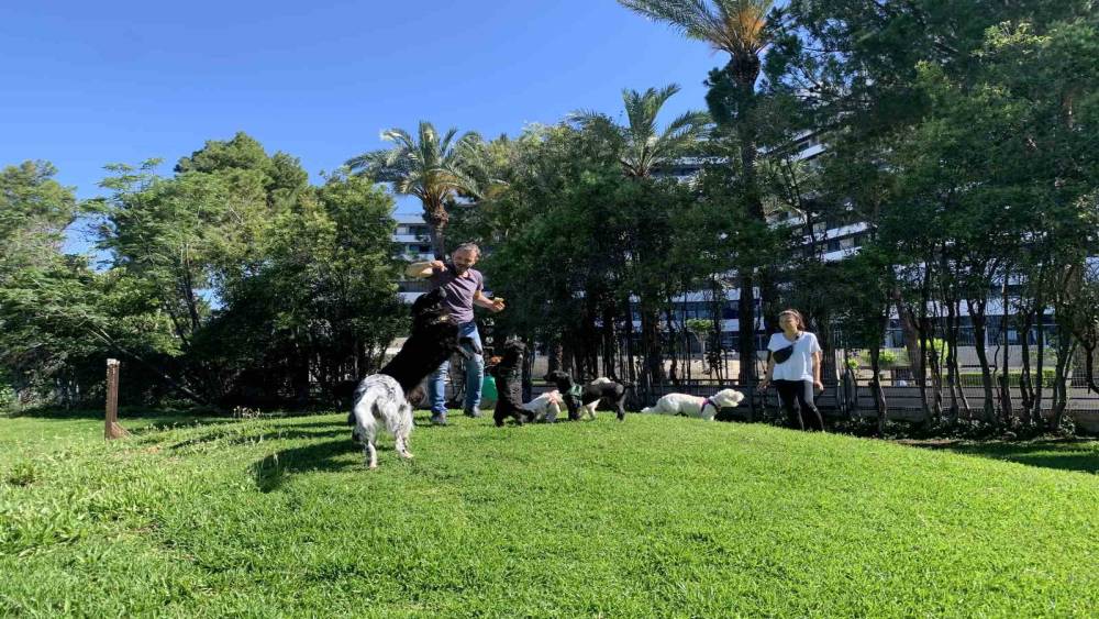 ANTALYA BÜYÜKŞEHİR BELEDİYESİNCE YENİLENEN KÖPEK PARKI HİZMETE GİRDİ