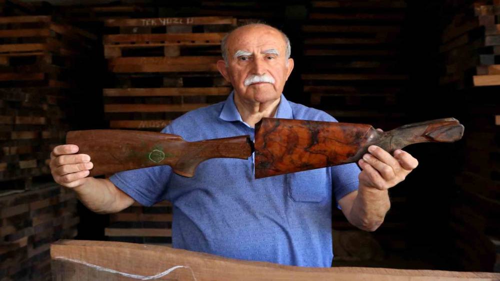 ASIRLIK CEVİZ AĞAÇLARI TÜFEK DİPÇİĞİ OLUYOR, 3 KITAYA İHRAÇ EDİLİYOR