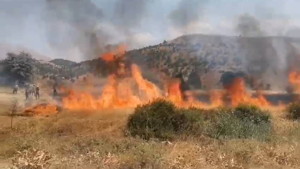 8 DÖNÜM BUĞDAYI HASAT EDEMEDEN YANDI