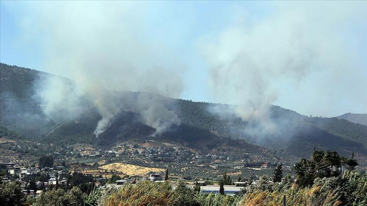 HATAY’DA ORMAN YANGINI