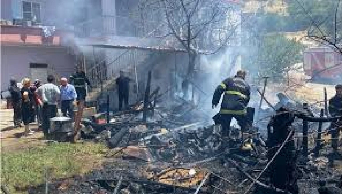 KAHRAMANMARAŞ'TA AHIR YANGINI, 2 HAYVAN TELEF OLDU