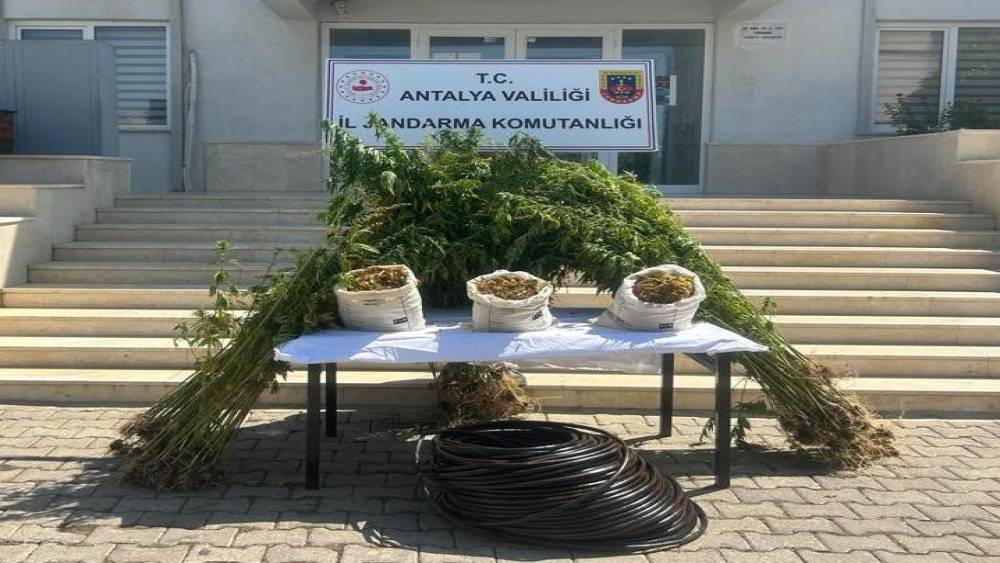 JANDARMADAN ORMANLIK ALANA UYUŞTURUCU OPERASYONU