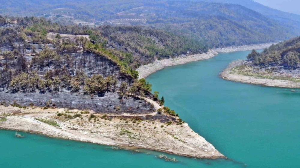 MANAVGAT ORMAN YANGININDA ZARAR GÖREN BÖLGELERE 5 MİLYON FİDAN DİKİLDİ, 153 TON TOHUM TOPRAKLA BULUŞTURULDU