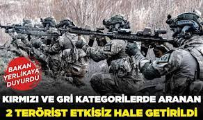 KIRMIZI VE GRİ KATEGORİLERDE ARANAN 2 TERÖRİST ETKİSİZ HALE GETİRİLDİ