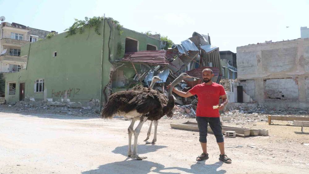 ENKAZ KENTTE İLGİNÇ GÖRÜNTÜ, BAŞTA KİMSE NEREDEN GELDİKLERİNİ ANLAYAMADI