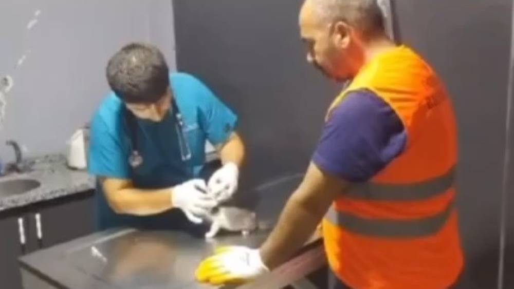 YAVRU KEDİYİ KURTARIP, AĞIR HASARLI BİNANIN YIKIMINA DEVAM ETTİLER