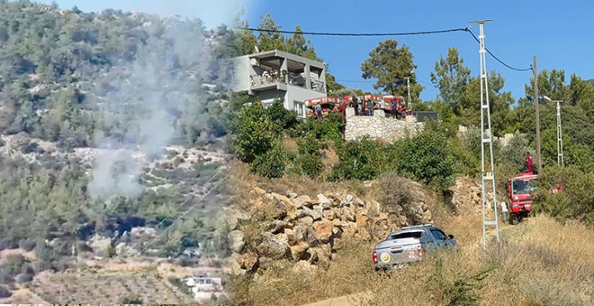 GAZİPAŞA'DA ORMANLIK ALANDA YANGIN