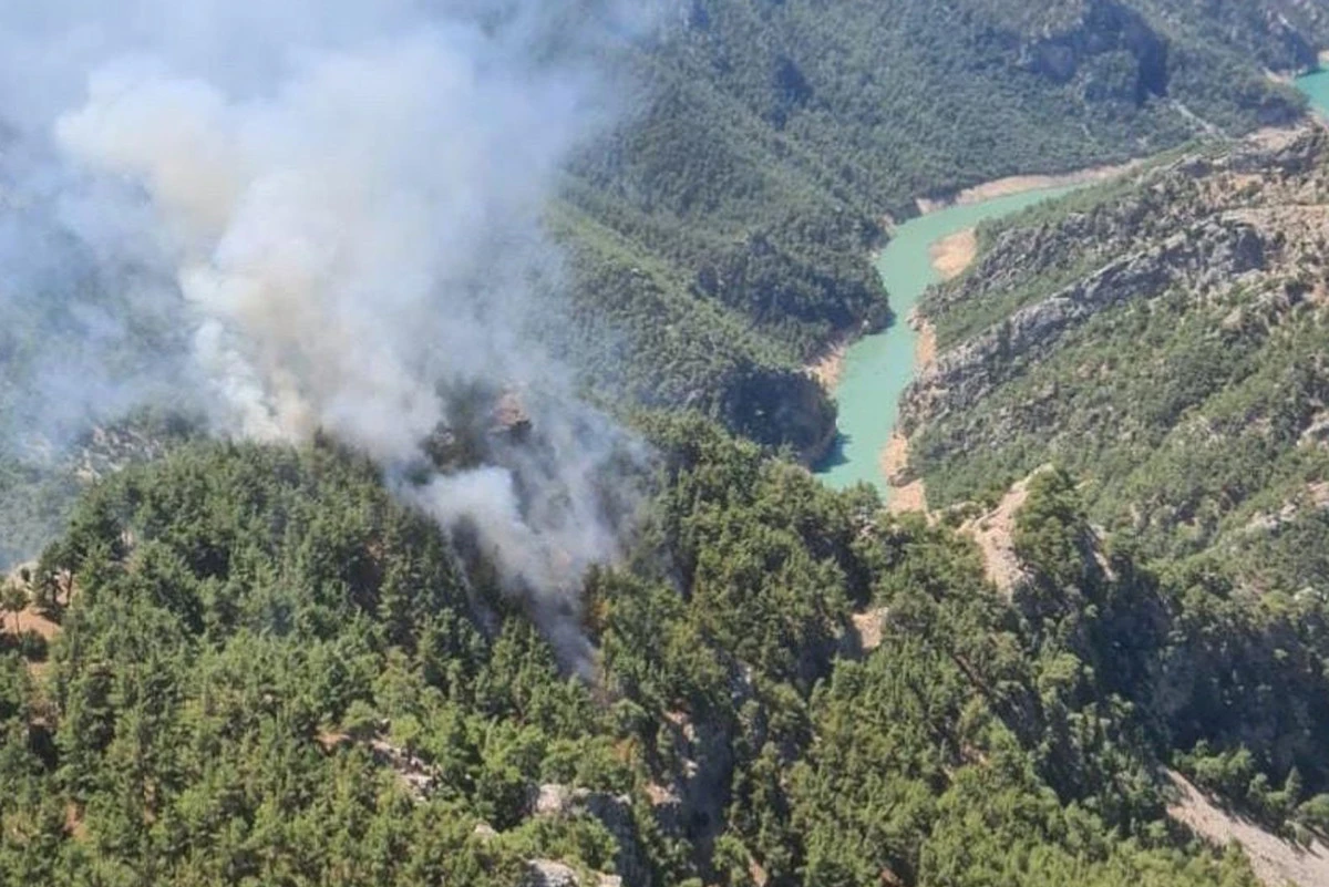 Adana’nın Kozan ilçesinde orman yangını çıktı