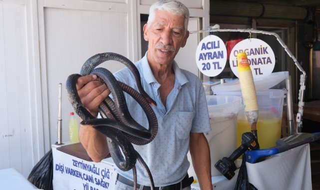 KOYNUNDA BESLEDİĞİ YILANLAR BÖYLE ISIRDI