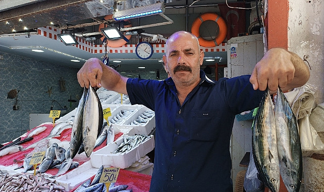 TEZGAHLAR DOLDU TAŞTI: VATANDAŞ BU YIL PALAMUTA DOYACAK!