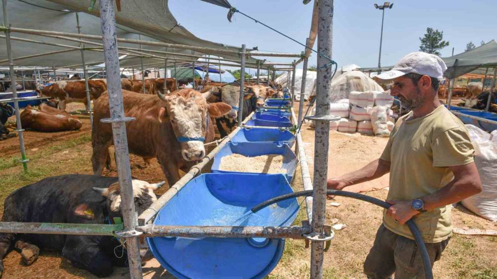 KEPEZ KURBAN BAYRAMINA HAZIR