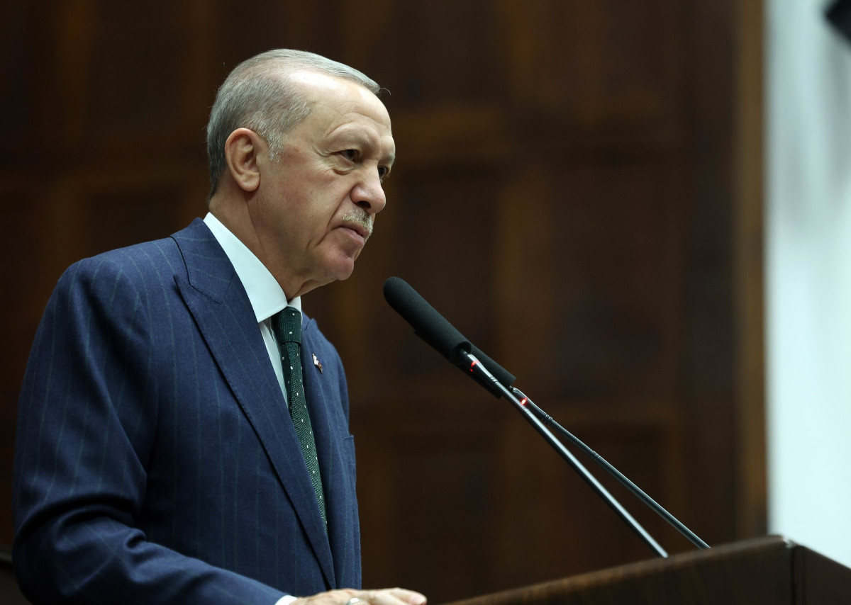 TARTIŞMALARA NEDEN OLAN SOKAK HAYVANLARI DÜZENLEMESİNDE SONA GELİNDİ! DOSYA ARTIK ERDOĞAN'IN ÖNÜNDE