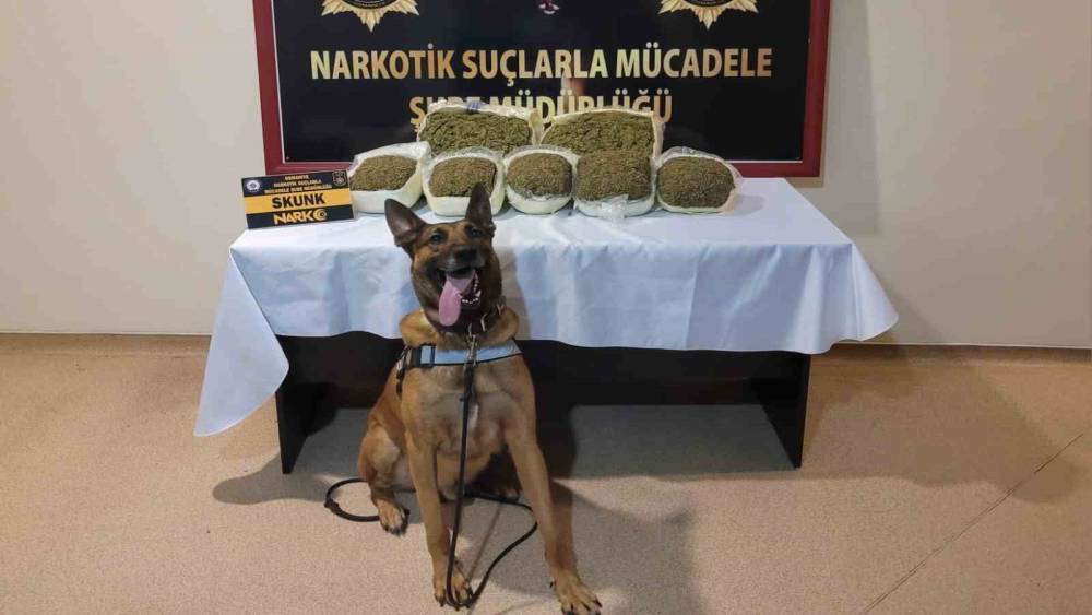 OSMANİYE’DE UYUŞTURUCU İLE MÜCADELE: 47 GÖZALTI