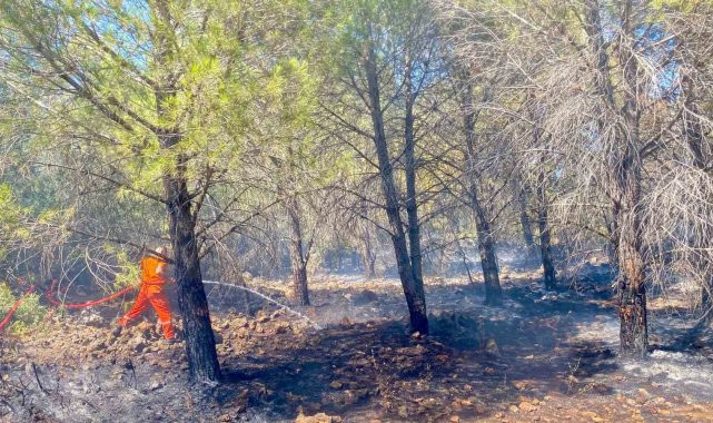 ANTALYA'DA 2 DÖNÜM ORMANLIK ALAN YANDI
