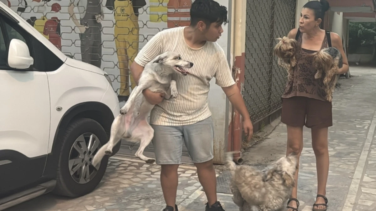 Antalya'da 4 Katlı Bina Yangını: İki Köpek Kurtarıldı