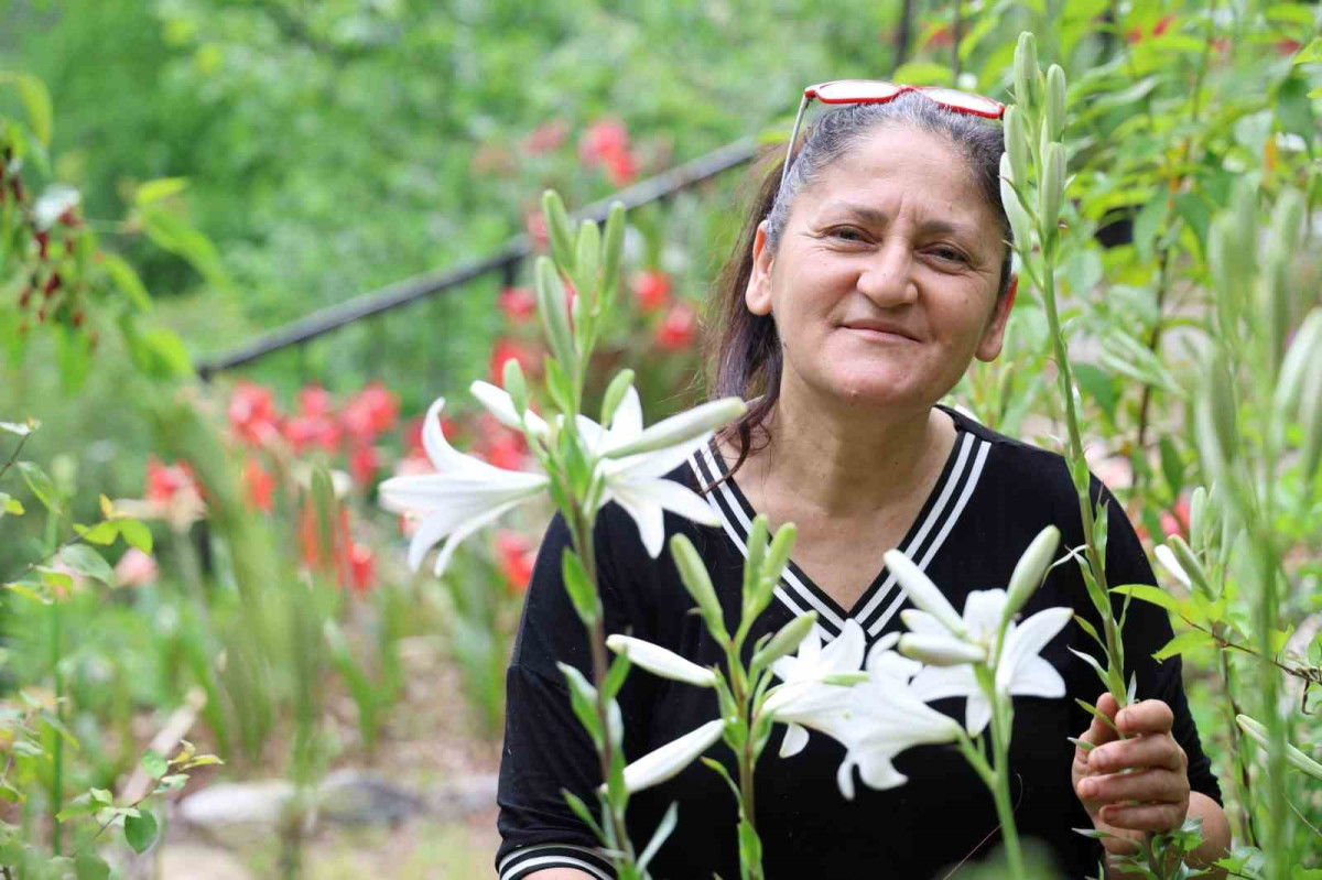 TOKAT’TAN GETİRDİ, KOZAN YAYLALARINDA ÜRETİME BAŞLADI