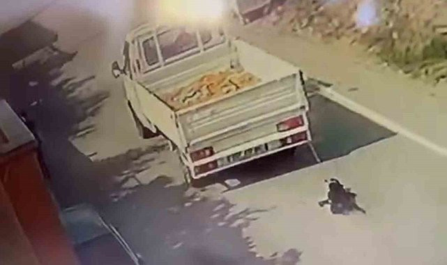 SOKAKLARDA SÜRÜKLENEN KÖPEK, KAMYONET KASASINDAN DÜŞTÜ DESE DE GÖZALTINA ALINDI