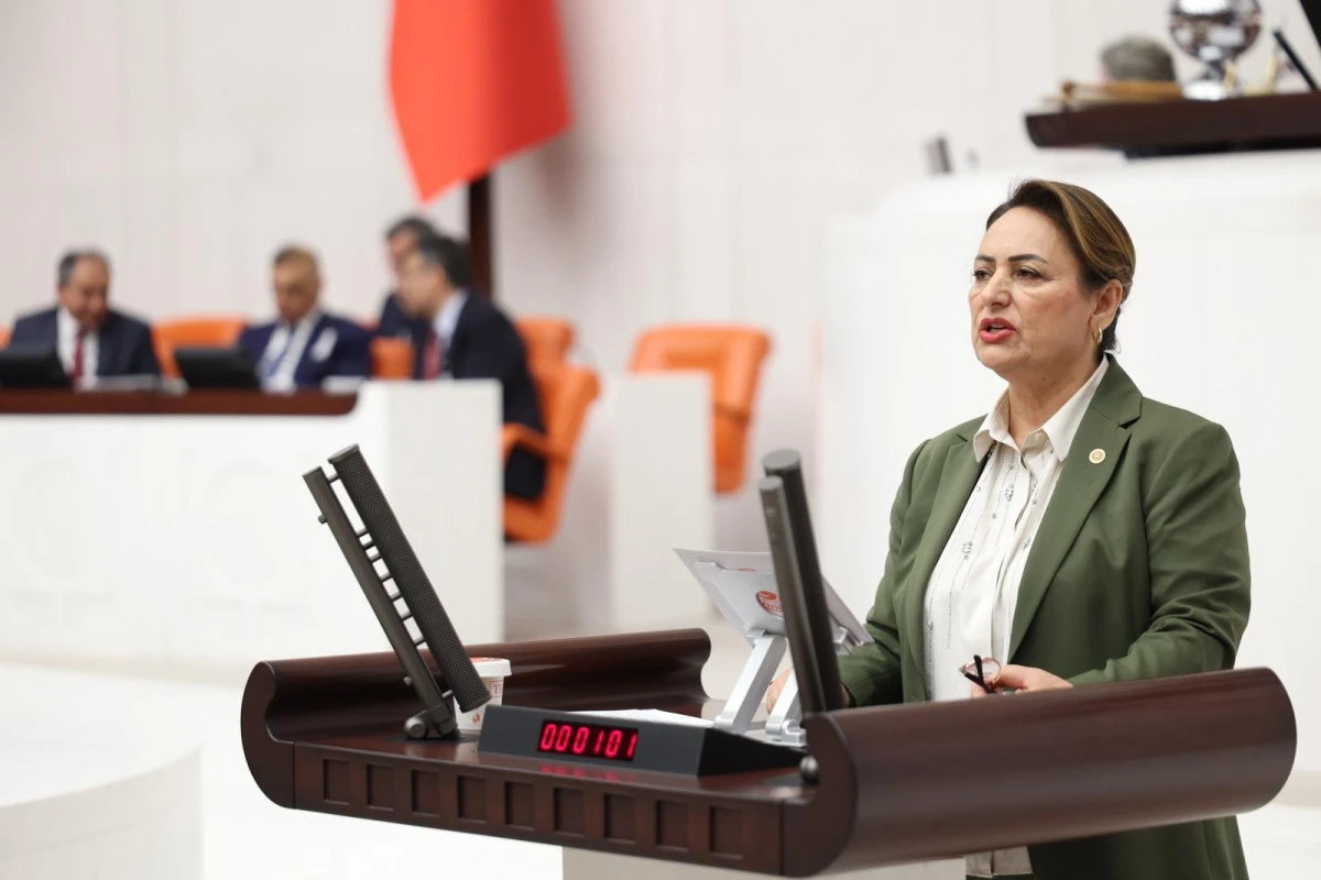 CHP’li Dr. Müzeyyen Şevkin, Milli Eğitim Bakanı Yusuf Tekin’e soru önergesi sundu ve 7592 sayılı YÖK Kanununa istinaden çağrıda bulundu: