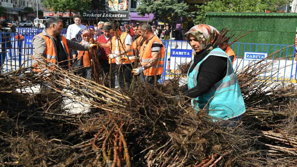 ISPARTA BELEDİYESİNİN DAĞITTIĞI FİDAN SAYISI 72 BİNE ULAŞTI