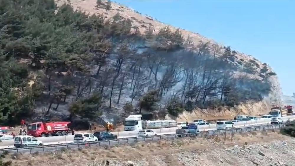 HATAY’DA ORMAN YANGINI, EKİPLERİN MÜDAHALESİ İLE SÖNDÜRÜLDÜ