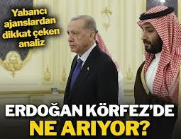 ERDOĞAN KÖRFEZ'DE NE ARIYOR?
