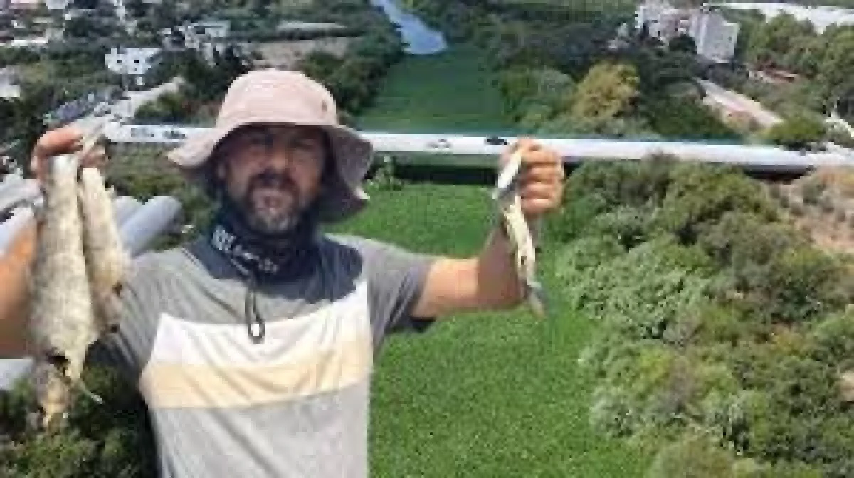 Asi Nehri Su Sümbülleriyle Kaplandı, Balık Ölümleri Yaşandı