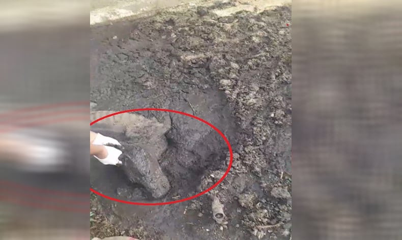BALÇIKTA ÖLÜMÜ BEKLEYEN KÖPEĞE HAYAT KURTARAN MÜDAHALE