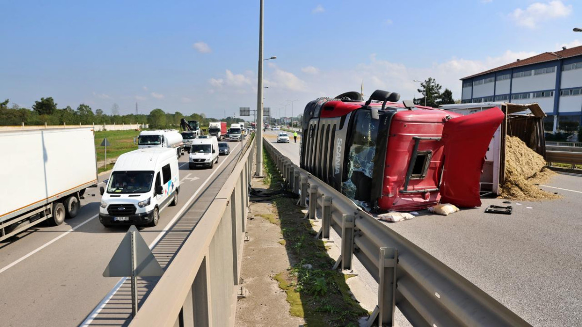 ARI SOKMASI KAZAYA NEDEN OLDU: DEVRİLEN TIR 50 METRE SÜRÜKLENDİ