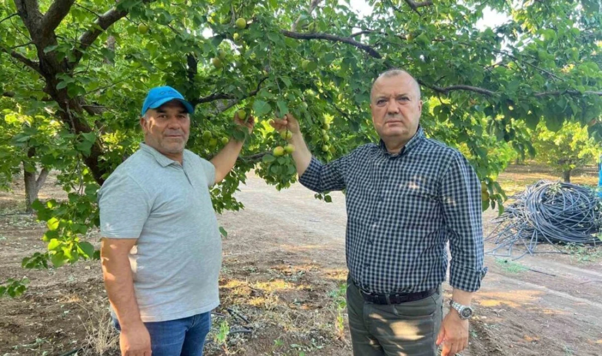 İSPANYA MODELİYLE 2 MİLYON LİRALIK KAYISISINI KURTARDI