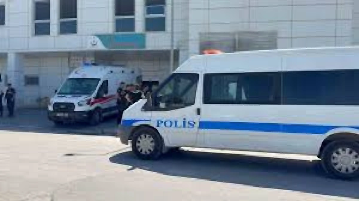 "MERCY ÖLMESİN" DEMİŞTİ, UMUDA YOLCULUK ANTALYA'DA CAN BULDU