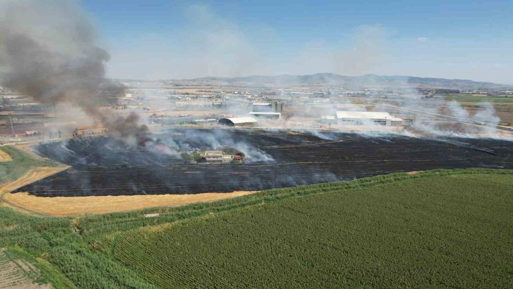 Kahramanmaraş’ta anız yangını korkuttu