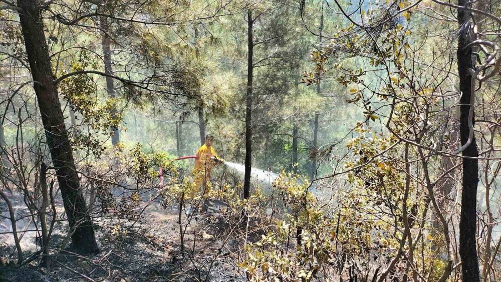 Osmaniye’de orman yangını, ekipler havadan ve karadan müdahale etti