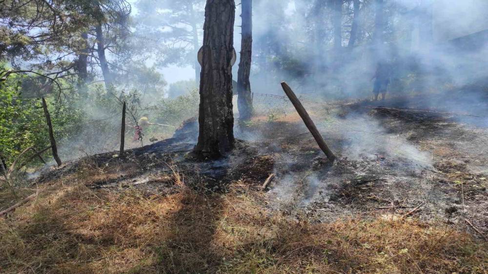 ADANA KOZAN’DA ORMAN YANGINI, EKİPLER KONTROL ALTINA ALDI