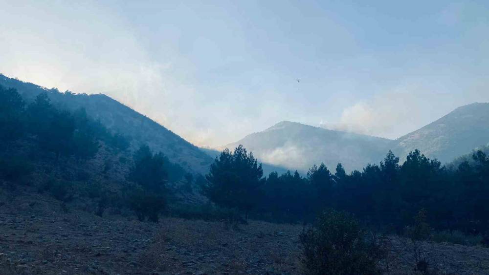 KAHRAMANMARAŞ’TAKİ ORMAN YANGINI KONTROL ALTINA ALINDI
